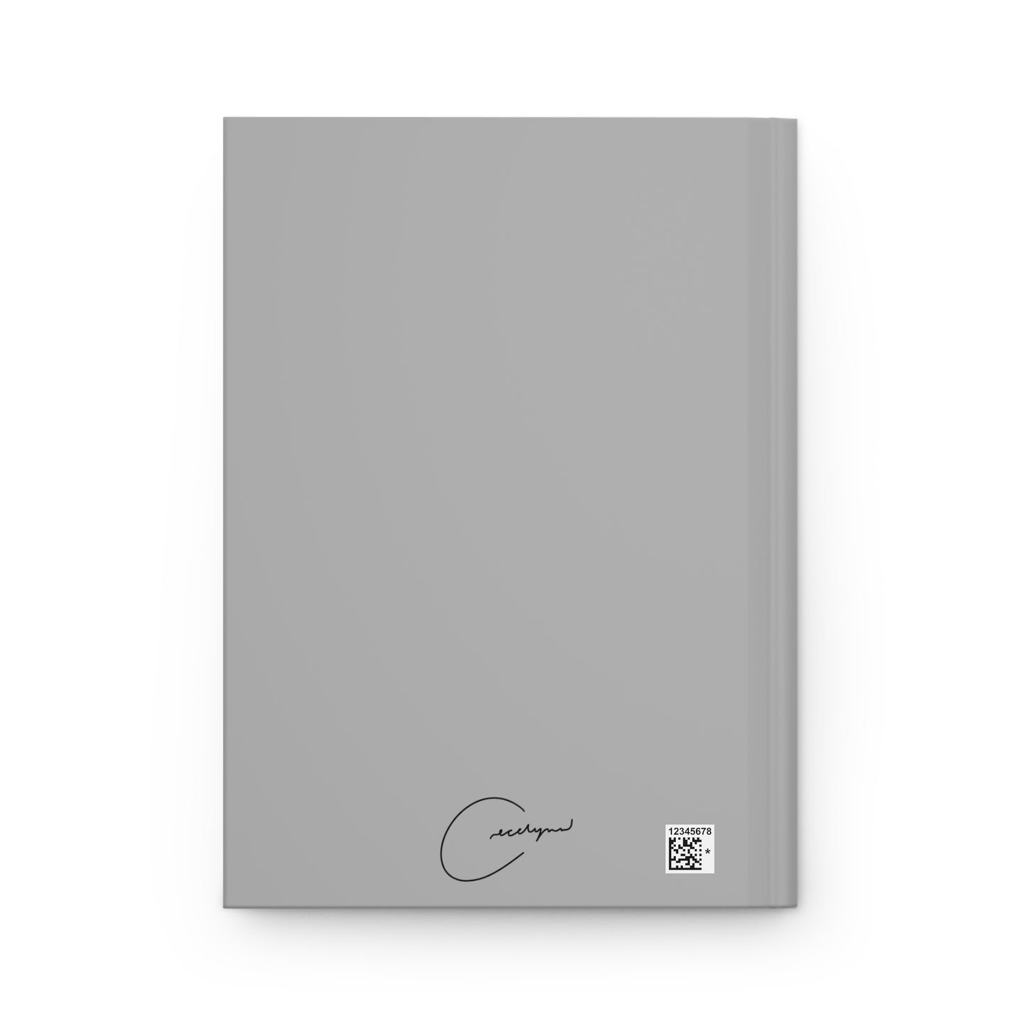 Chicagos Notebook